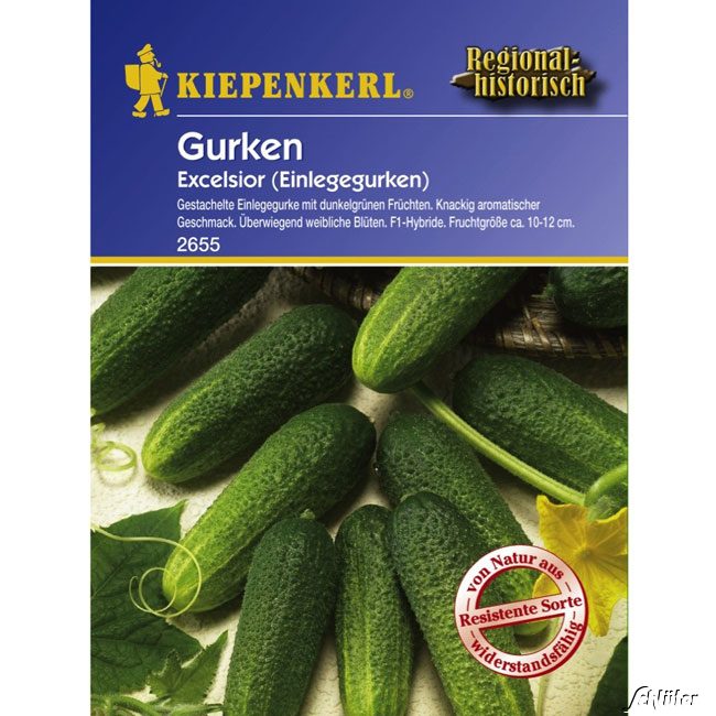 Gurke &#039;Excelsior F1&#039; Lieferform: Portionssaatgut von Kiepenkerl