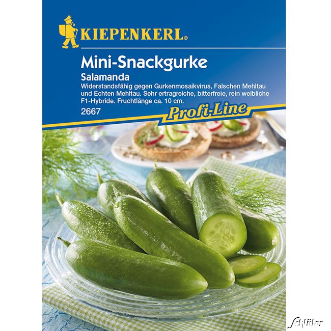 Gurke &#039;Salamanda&#039; Lieferform: Portionssaatgut von Kiepenkerl