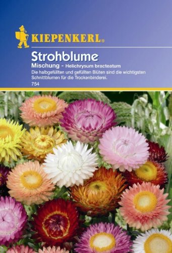 Helichrysum bracteatum Strohblume Mischung von Kiepenkerl