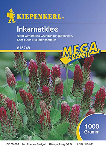 Incarnatklee Kardinal 1 Kg von Tcllka