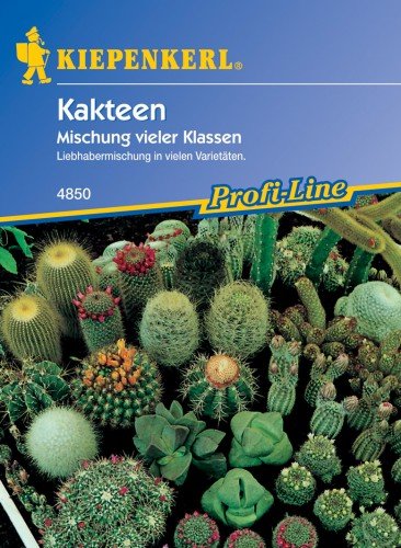 Kakteen-Mischung von Kiepenkerl