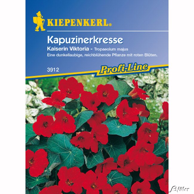 Kapuzinerkresse &#039;Kaiserin Viktoria&#039; Lieferform: Portionssaatgut von Kiepenkerl