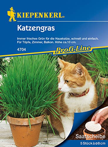 Katzengras 5 Stück Saatscheiben, immer frisches Grün für die Hauskatze, schnell und einfach für Töpfe Zimmer und Balkon von Kiepenkerl