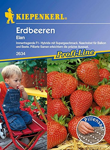 Kiepenkerl, Erdbeere Elan pillierte Saat von Kiepenkerl