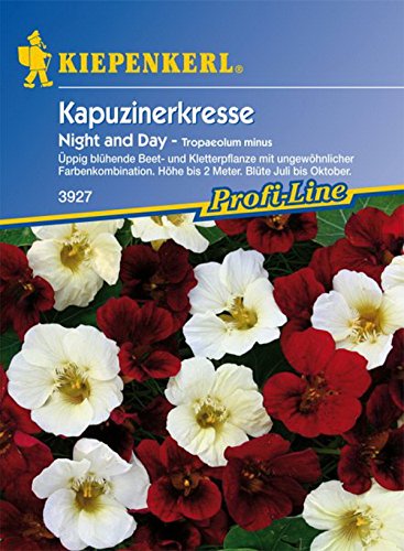 Kiepenkerl, Kapuzinerkresse, Tropaeolum minus Night und Day von Kiepenkerl