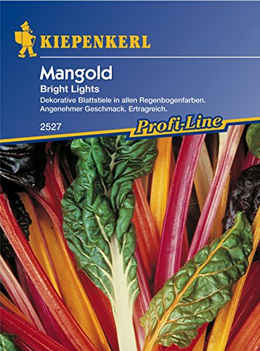 Kiepenkerl, Mangold Bright Lights von Kiepenkerl