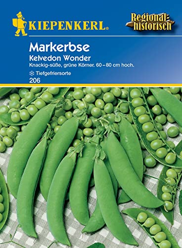 Kiepenkerl 0206 Markerbse Kelvedon Wonder, dunkelgrün knackig angenehm süß, tiefgefrier Sorte, für Eintöpfe und Gemüsebeilage von Kiepenkerl