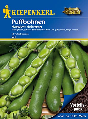 Kiepenkerl 0234 Puffbohne Hangdown Grünkernig (Vorteilspack), Inhalt: 175 gr., eine bewährte und ertragreiche Sorte, zum kochen und einfrieren von Kiepenkerl