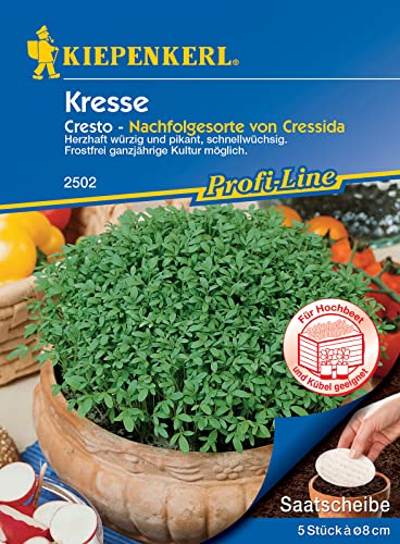 Kiepenkerl 2502 Kresse Cresto (Saatscheibe), intensiv aromatisch und pikant, besitzt einen hohen Vitamingehalt, Bereicherung für viele Salate von Kiepenkerl