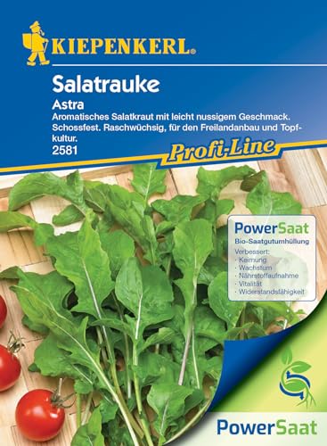 Kiepenkerl Profi-Line Salatrauke Astra PowerSaat - Aromatischer Rucola Samen für Garten & Topf, Winterharter Wintersalat, Leicht Nussiger Geschmack, Raschwüchsiges Salatkraut für Jede Jahreszeit Kiepenkerl Profi-Line Salatrauke Astra PowerSaat - Aromatischer Rucola Samen für Garten & Topf, Winterharter Wintersalat, Leicht Nussiger Geschmack, Raschwüchsiges Salatkraut für Jede Jahreszeit von Kiepenkerl