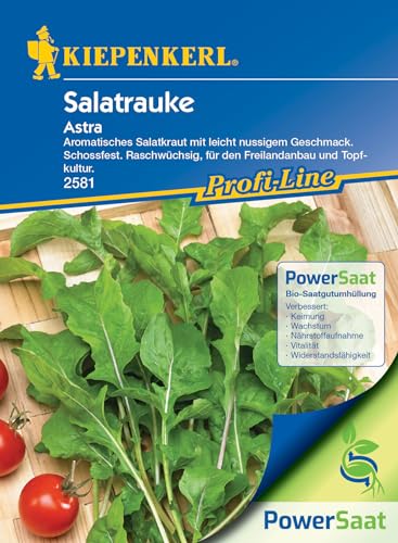 Kiepenkerl Profi-Line Salatrauke Astra PowerSaat - Aromatischer Rucola Samen für Garten & Topf, Winterharter Wintersalat, Leicht Nussiger Geschmack, Raschwüchsiges Salatkraut für Jede Jahreszeit von Kiepenkerl