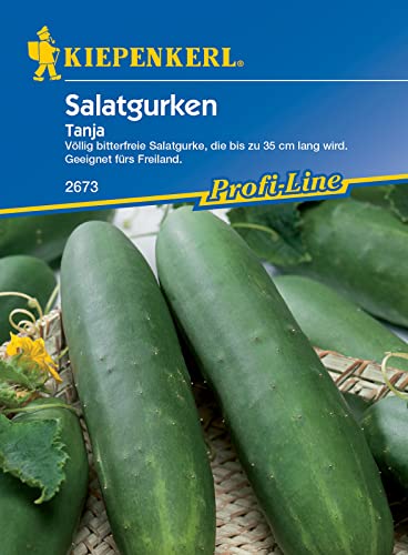 Kiepenkerl 2673 Salatgurke Tanja, bis zu 35 cm lange, völlig bitterfreie Gurke von Kiepenkerl