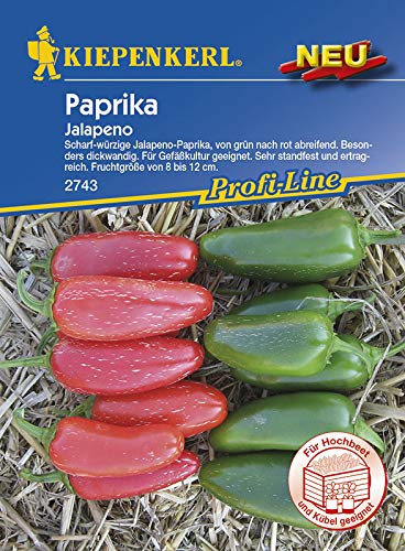 Kiepenkerl 2743 Paprika Jalapeno (Paprikasamen) von Kiepenkerl