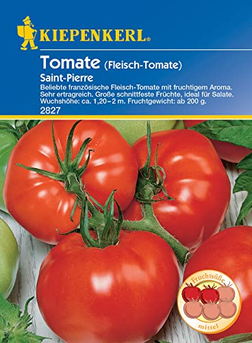 Kiepenkerl 2827 Fleisch-Tomate Saint Pierre, ergibt eine reiche Ernte an großen sehr geschmackvollen Früchten, beliebte französische Sorte von Kiepenkerl