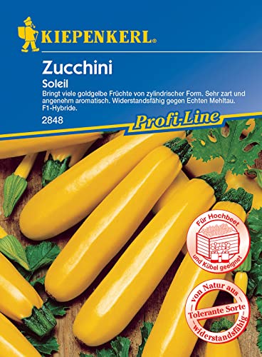 Kiepenkerl 2848 Zucchini Soleil F1, sehr zart und aromatisch, nicht rankend, trägt viele goldgelbe Früchte von zylindrischer Form von Kiepenkerl