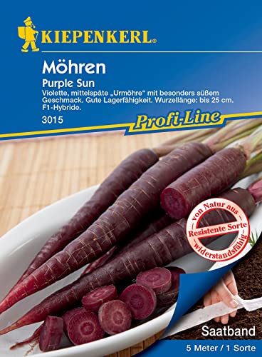 Kiepenkerl 3015 Möhre Purple Sun F1 (Saatband), violette Möhre intensiv durchgefärbt, für Rohkostsalate oder Suppen von Kiepenkerl