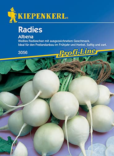 Kiepenkerl 3056 Radieschen Albena, Ideal zum Dekorieren von Butterbroten und Salaten, ein optischer Genuss, für Frühbeete Folien- und Freilandanbau von Kiepenkerl