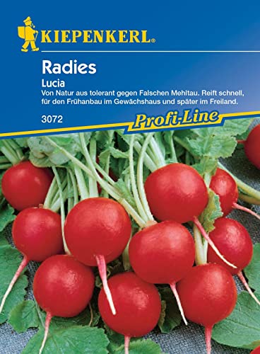 Kiepenkerl 3072, Radieschen Lucia F1, von Natur aus tolerant gegen falschen Mehltau, für den Frühanbau im Gewächshaus oder Freiland von Kiepenkerl