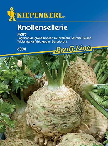 Kiepenkerl 3094 Knollensellerie Mars (verbesserte Prinz), lagerfähige große Knollen mit weißem festem Fleisch, widerstandsfähig gegen Sellerierost von Kiepenkerl