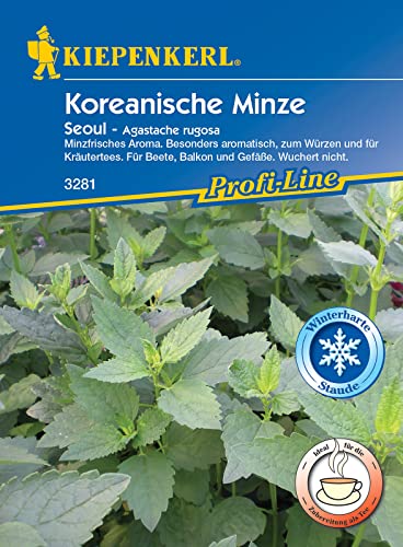 Kiepenkerl 3281 Koreanische Minze Seoul (mehrjährig), in der ganzen Vegetationszeit im Freiland und unter Glas Minzeblätter ernten, Aroma angenehm frisch von Kiepenkerl