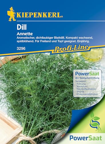 Kiepenkerl Profi-Line Dillsamen Annette PowerSaat - Aromatische Dill Samen für den Kräutergarten - Dill Samen für 80 cm hohe Pflanzen - Widerstandsfähige Kräutersamen Frische Dill für Suppen & Salate von Kiepenkerl