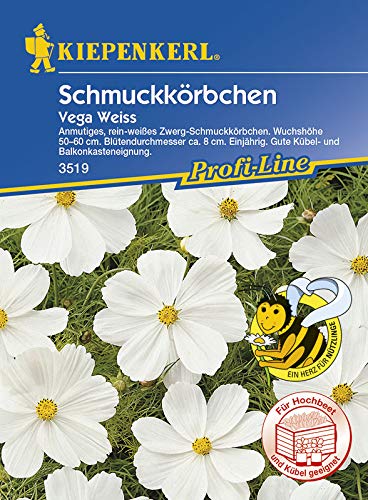 Kiepenkerl 3519 Schmuckkörbchen Vega Weiss (Schmuckkörbchensamen) von Kiepenkerl