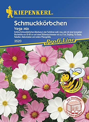 Kiepenkerl 3520 Schmuckkörbchen Vega Mix (Schmuckkörbchensamen) von Kiepenkerl