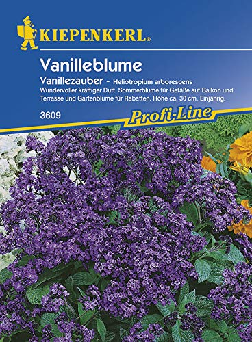 Kiepenkerl 3609 Vanilleblume Vanillezauber (Vanilleblumensamen) von Kiepenkerl