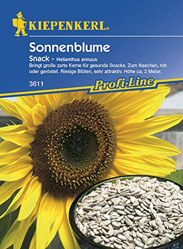Kiepenkerl 3611 Sonnenblume Snack (Sonnenblumensamen) von Kiepenkerl