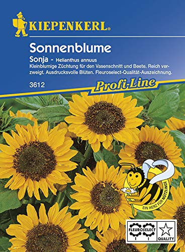 Kiepenkerl 3614 Sonnenblume Sonja (Sonnenblumensamen) von Kiepenkerl
