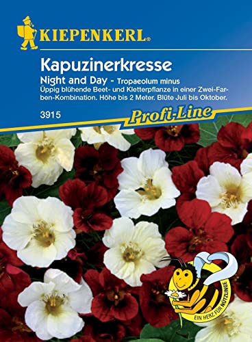 Kiepenkerl 3915, Kapuzinerkresse Night & Day, Portionssaatgut, Üppig blühende Beet-, und Kletterpflanze, Höhe bis 2 Meter, Blüte Juli bis Oktober von Kiepenkerl