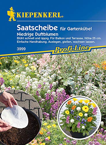 Kiepenkerl 3999 Niedrige Duftblumen Mischung für Topf und Kübel (Saatscheibe) von Kiepenkerl