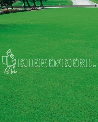 Kiepenkerl 4000159801004 RSM 1.1.1 Zierrasen Edel 10 kg von Kiepenkerl