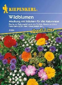 Kiepenkerl 4584 Wildblumen Mischung mit Kräutern für die Naturwiese (Wildblumensamen) von Kiepenkerl
