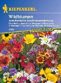 Kiepenkerl 4586 Wildblumen Amerikanische Landblumenmischung (Wildblumensamen) von Kiepenkerl