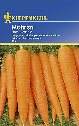 Kiepenkerl 469 Möhre Rote Riesen 2 (Möhrensamen) von Kiepenkerl