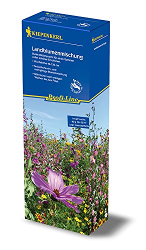 Kiepenkerl 4930 Landblumenmischung (40 g) (Blumenwiese) von Kiepenkerl