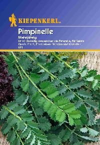 Kiepenkerl 613 Pimpinelle (Pimpinellensamen) von Kiepenkerl