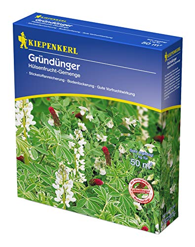 Kiepenkerl 615458 Hülsenfrucht-Gemenge 1 kg (Gründünger) von Kiepenkerl