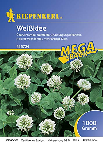 Kiepenkerl 615724 Weißklee Lirepa 1 kg (Weißkleesamen) von Kiepenkerl