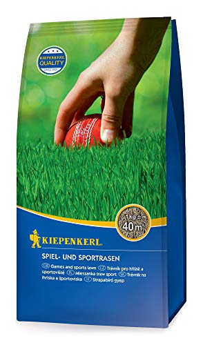 Kiepenkerl 651258 Sport- und Spielrasen 1 kg (Rasensamen) von Kiepenkerl