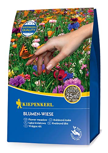 Kiepenkerl 651708 Blumen-Wiese 250 g (Rasensamen) von Kiepenkerl