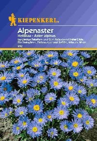 Kiepenkerl 892 Alpenaster Hellblau (Alpenastersamen) von Kiepenkerl