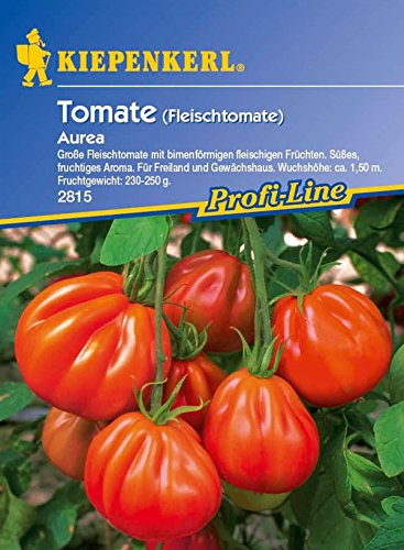 Kiepenkerl, Tomate Aurea F1 von Kiepenkerl