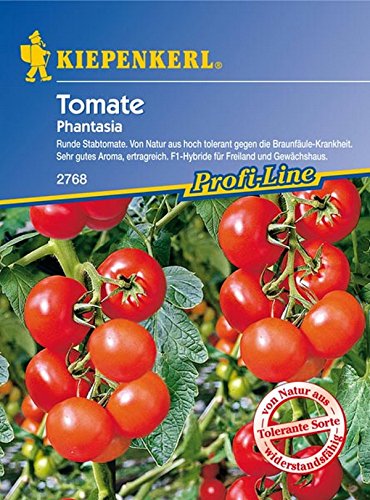 Kiepenkerl, Tomaten Phantasia F1 von Kiepenkerl