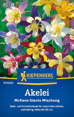Kiepenkerl Akeleisamen McKana Giants Mischung 1014050 - Mehrjährige Beet- und Schnittstaude mit einer Höhe von 60 bis 80 cm und Inhalt für 50 Pflanzen - Blumensamen Kiepenkerl Akeleisamen McKana Giants Mischung 1014050 - Mehrjährige Beet- und Schnittstaude mit einer Höhe von 60 bis 80 cm und Inhalt für 50 Pflanzen - Blumensamen von Kiepenkerl