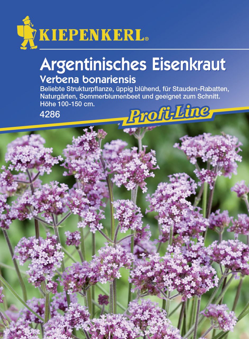 Kiepenkerl Argentinisches Eisenkraut Verbena bonariensis, Inhalt: ca. 50 Pflanzen von Kiepenkerl