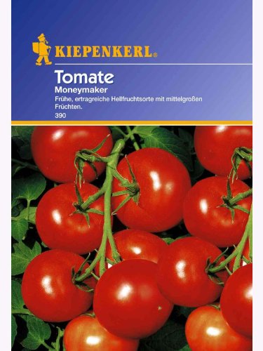 Kiepenkerl Aromatische Runde Tomaten Moneymaker von Kiepenkerl