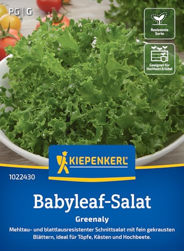 Kiepenkerl Babyleaf-Salatsamen Greenaly 1022430 – Saatgut für den perfekten Schnittsalat mit fein gekrausten Blättern, ideal für Töpfe, Kästen und Hochbeete. Kiepenkerl Babyleaf-Salatsamen Greenaly 1022430 – Saatgut für den perfekten Schnittsalat mit fein gekrausten Blättern, ideal für Töpfe, Kästen und Hochbeete. von Kiepenkerl