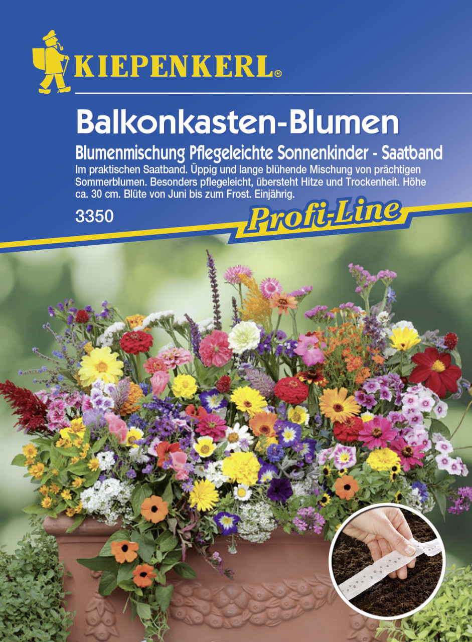 Kiepenkerl Balkonkasten-Blumen Pflegeleichte Sonnenkinder Inhalt: ca. 5 lfd. Meter von Kiepenkerl